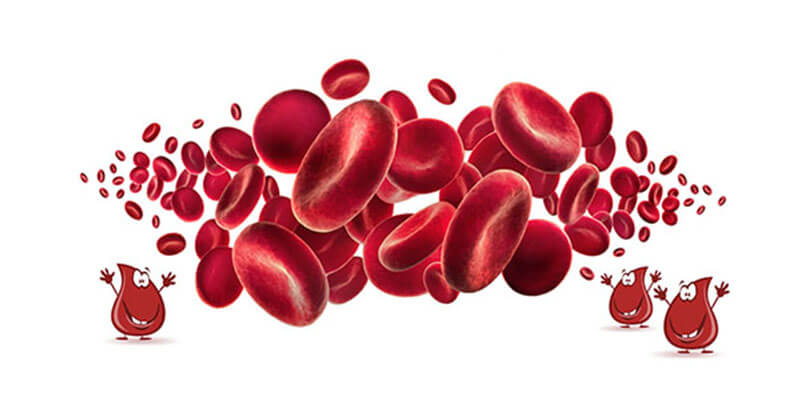 Haemovigilance – Blood Safety